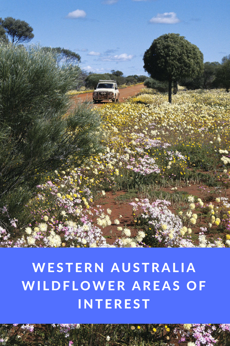 Western Australia Wildflower Areas of Interest